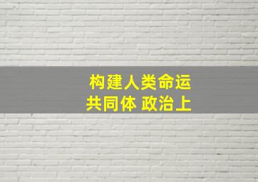 构建人类命运共同体 政治上